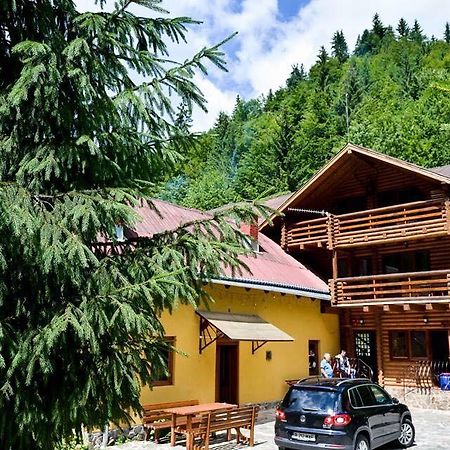 Cabana Bradul Rodna Exteriér fotografie