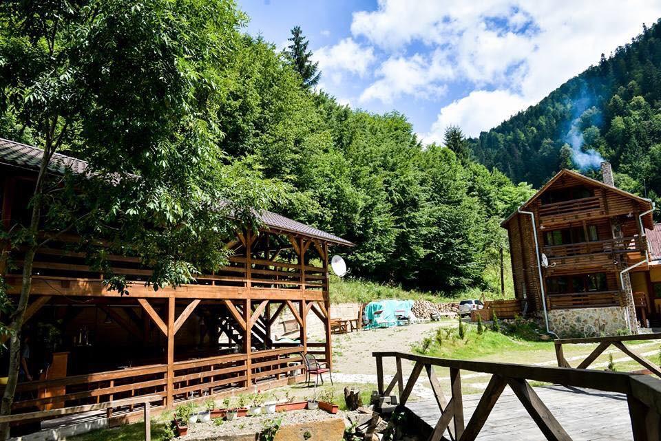 Cabana Bradul Rodna Exteriér fotografie